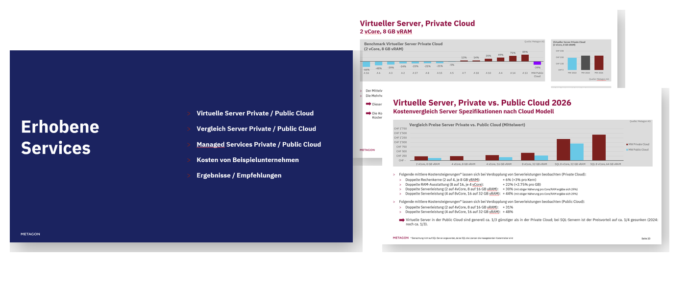 Auszug Metagon IT-Sourcing Benchmark 2026
